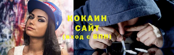 прущие грибы Абаза