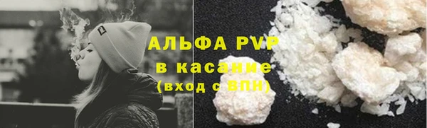 прущие грибы Абаза