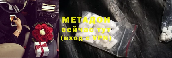 прущие грибы Абаза