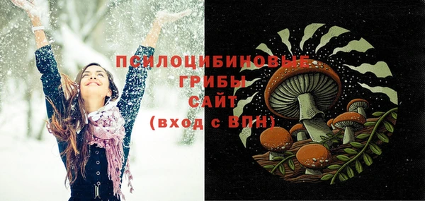 прущие грибы Абаза