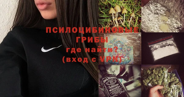 прущие грибы Абаза