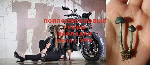 герыч Бикин