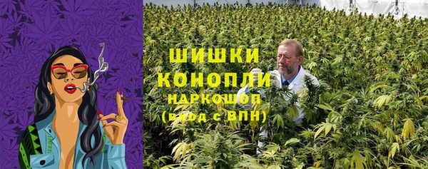 прущие грибы Абаза